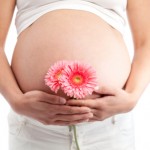 Pregnant's woman belly with flowers